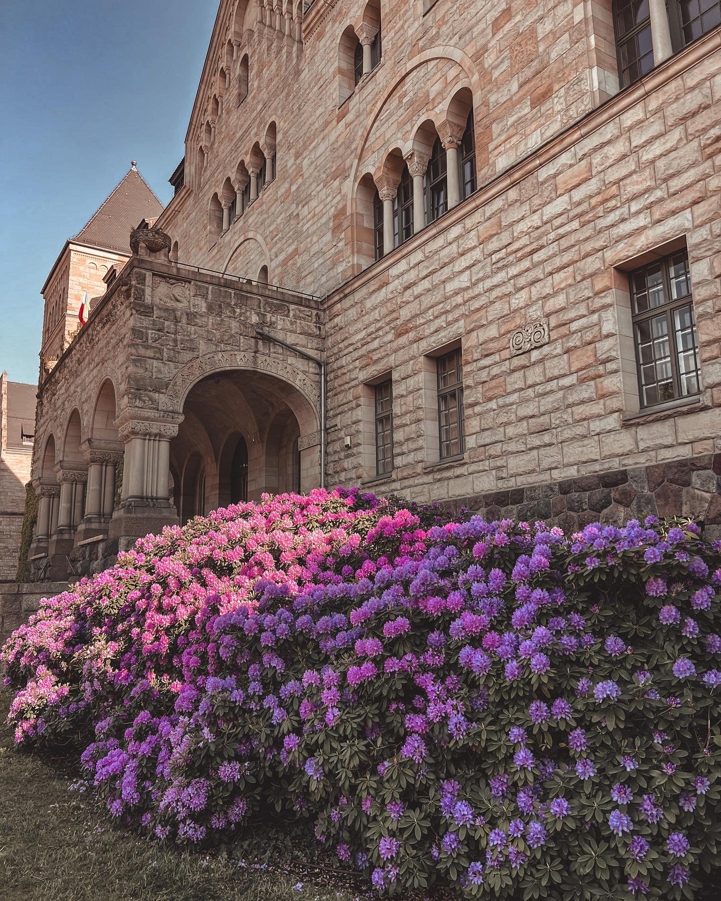 Untitled article | osewabig