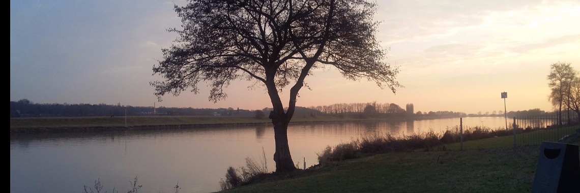 De Liefdeskist | Marion Wever