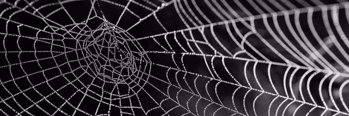 Ik zeg "Yes" (4) | Marion Wever