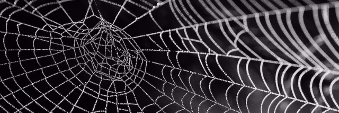 Ik zeg "Yes"(5) | Marion Wever