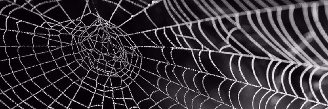 Ik zeg "Yes" (slot) | Marion Wever