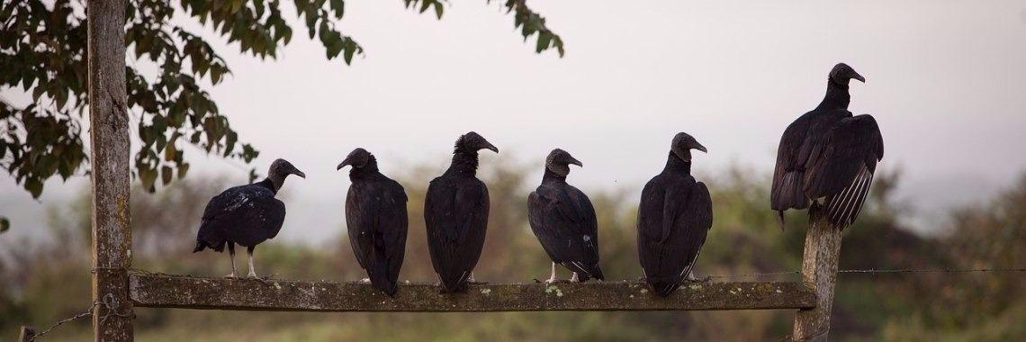 Kolderheksje (deel 10) | Marion Wever