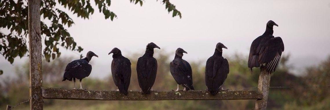 Kolderheksje (deel 11) | Marion Wever