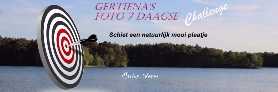 Natuurgebied het Swalmdal | Marion Wever