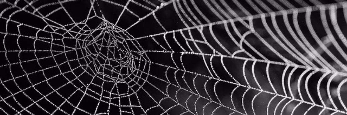 Ik zeg "Yes" | Marion Wever