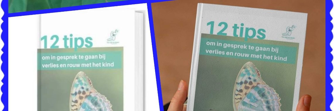 12 Tips - Tip 4 | vanrupstotvlinder