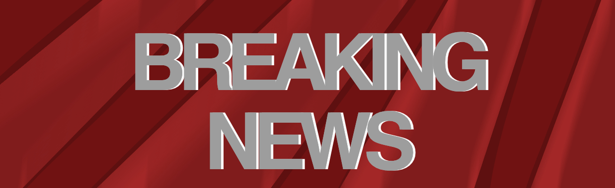 12 woorden | vanrupstotvlinder