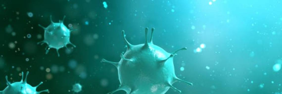 Snottebellenmonsters | vanrupstotvlinder