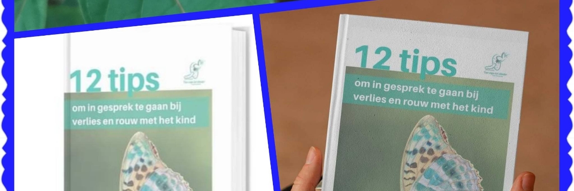 12 tips - Tip 11 | vanrupstotvlinder