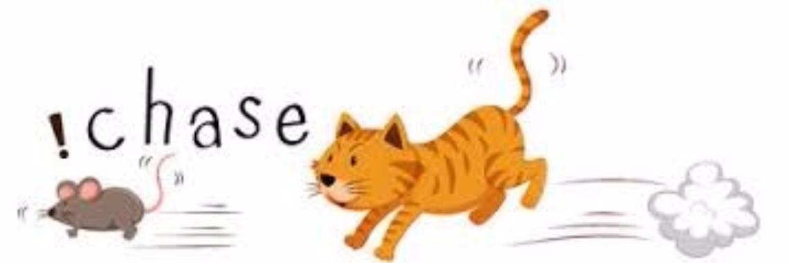 Dana zet de achtervolging in | Dana