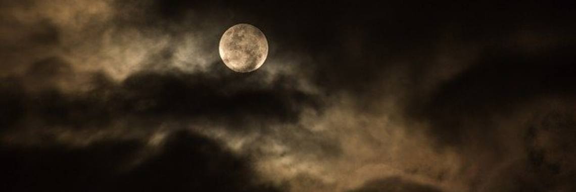 De kring (deel 5) | Dana