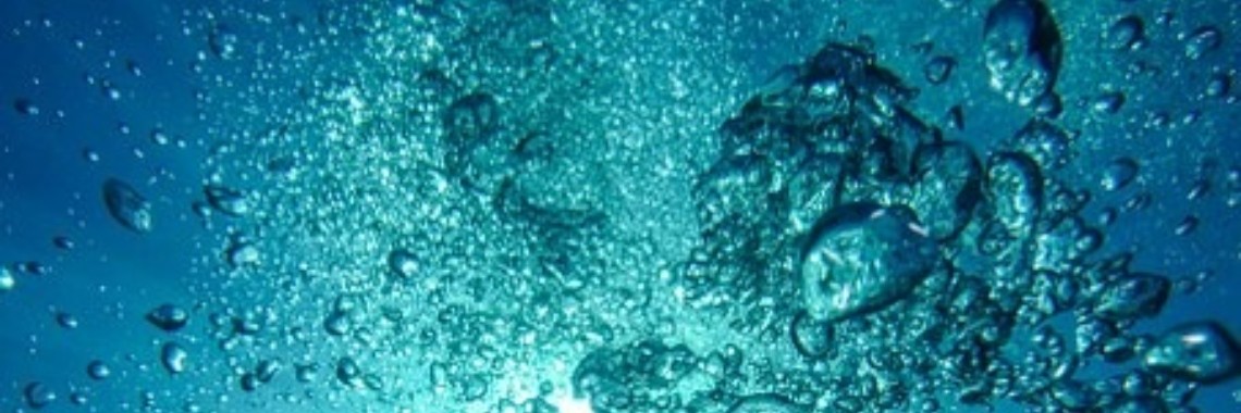 De lappenpOpluchting | Dana