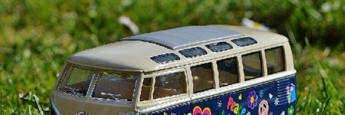De lege bus | Dana