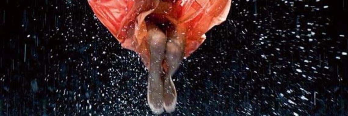 De meesterlijke meester | Dana