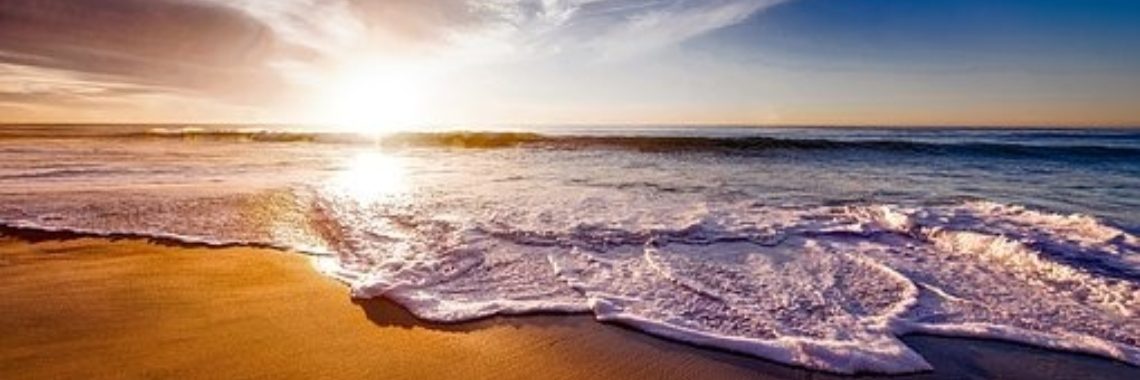 De schat van de strandjutter | Dana