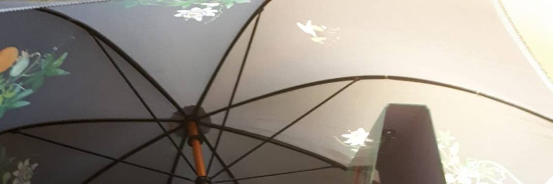 The undercover rollercases | Dana