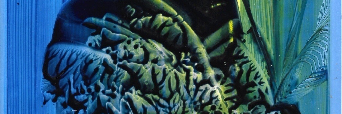 Heel bijzonder, mijn lief! | Dana