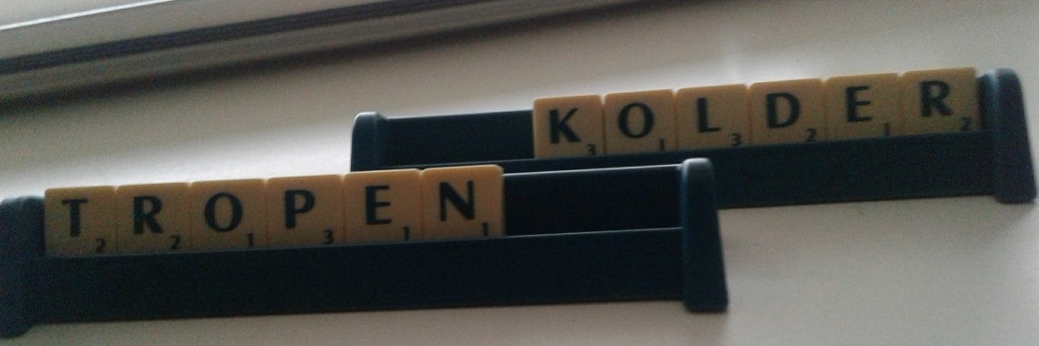 Het scrabblereglement | Dana