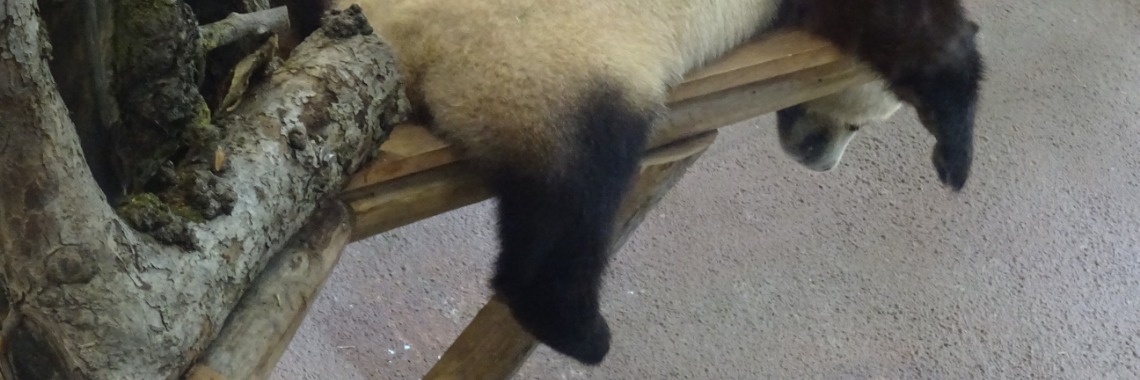 I'm going for alternative | Dana