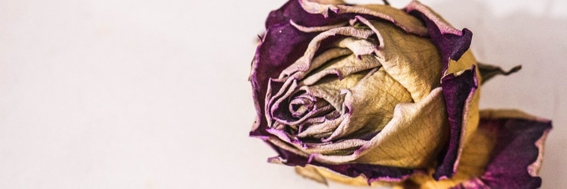 Natuurlijke frisheid | Dana