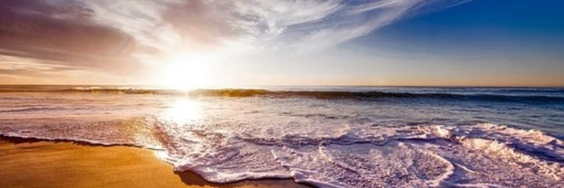 Soms vergaat onkruid... | Dana