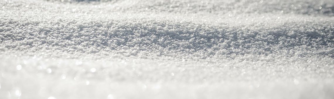 Steeklimerickjes | Dana