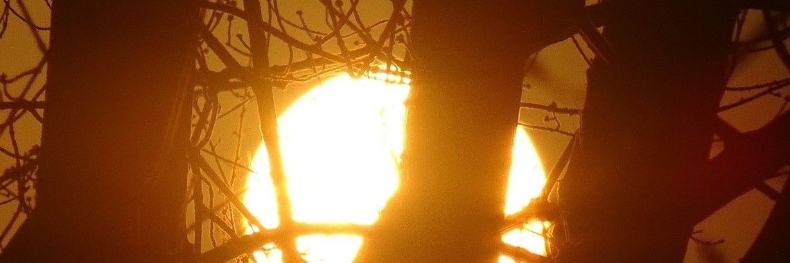 Weer een waterweerwolf gemist | Dana