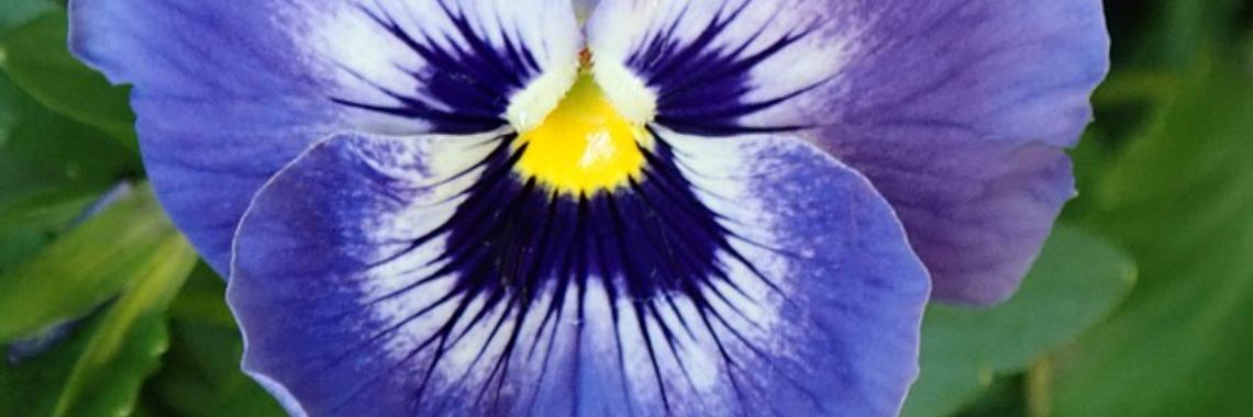 Zinloos verstoppertje | Dana