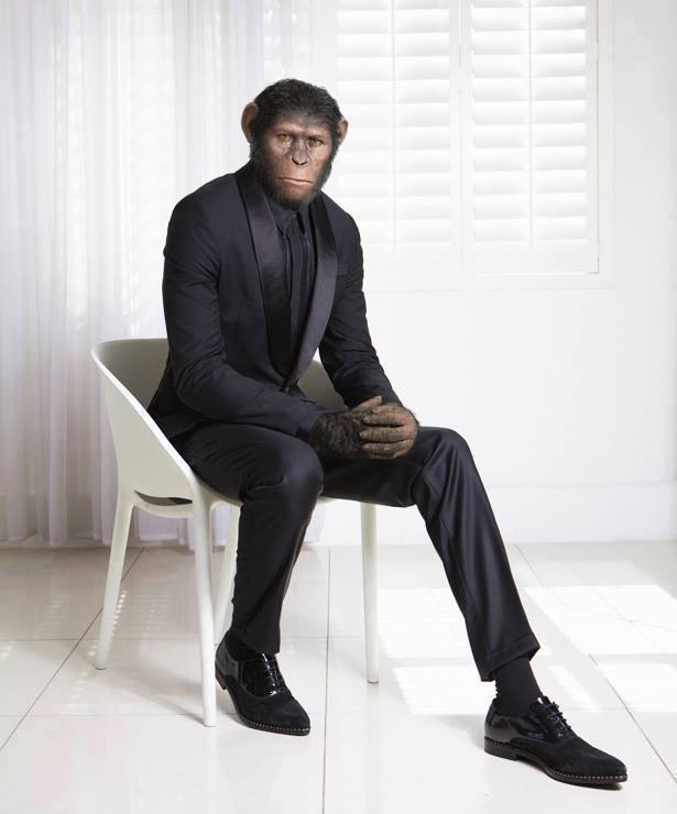 Broodje aapverhaal? | Dana