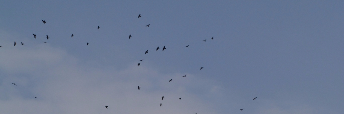 Touwen | ben van klinken