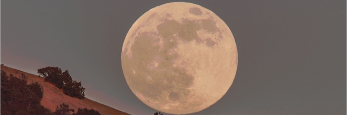 Wat tederheid | ben van klinken