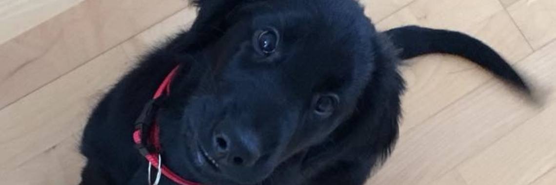 Met een knal het leven uit..... | Hylke Walters