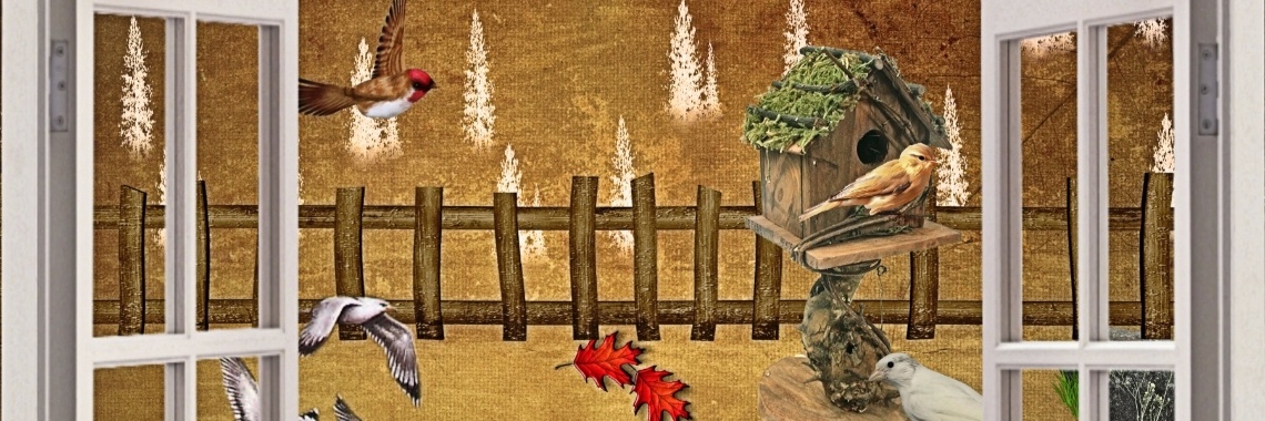 Mijn lesje voor lieksfotokaartenboetie | sylbibj