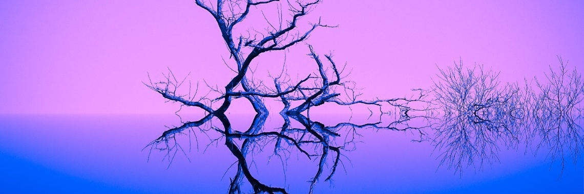 10 tips voor oneindige bloginspiratie | Willy