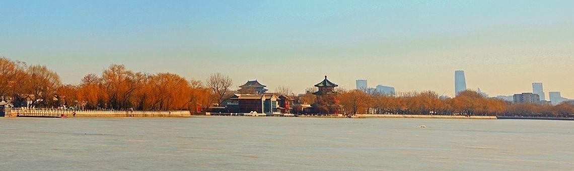 Thuiskomen op Bali | Willy