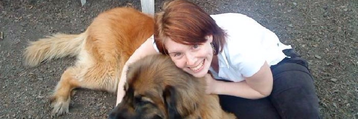 5 jobs voor hondenliefhebbers | HippieFox