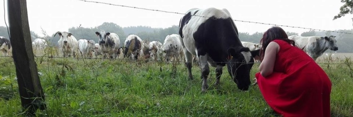 Af en toe... | HippieFox