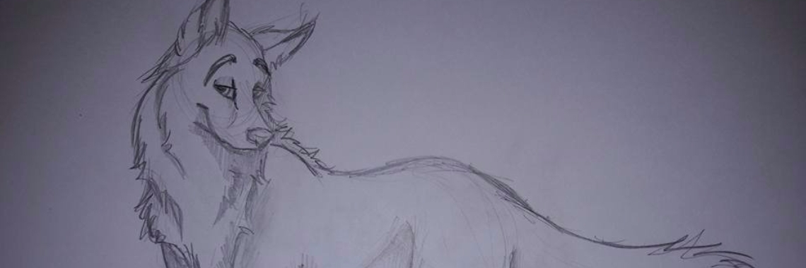 Tekenen bij nacht | HippieFox