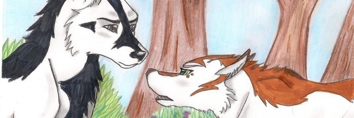 Tekeningen verkopen...? | HippieFox