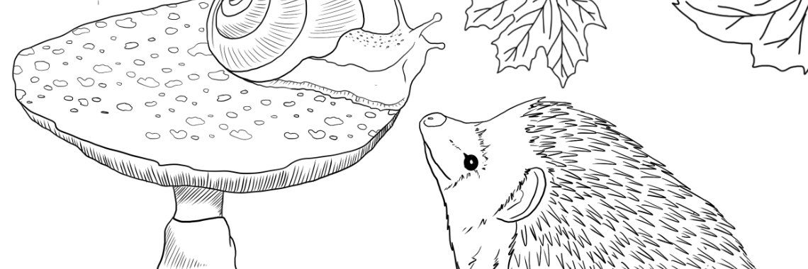 Creative Fabrica - 7 days of payments - UPDATE ! | HippieFox