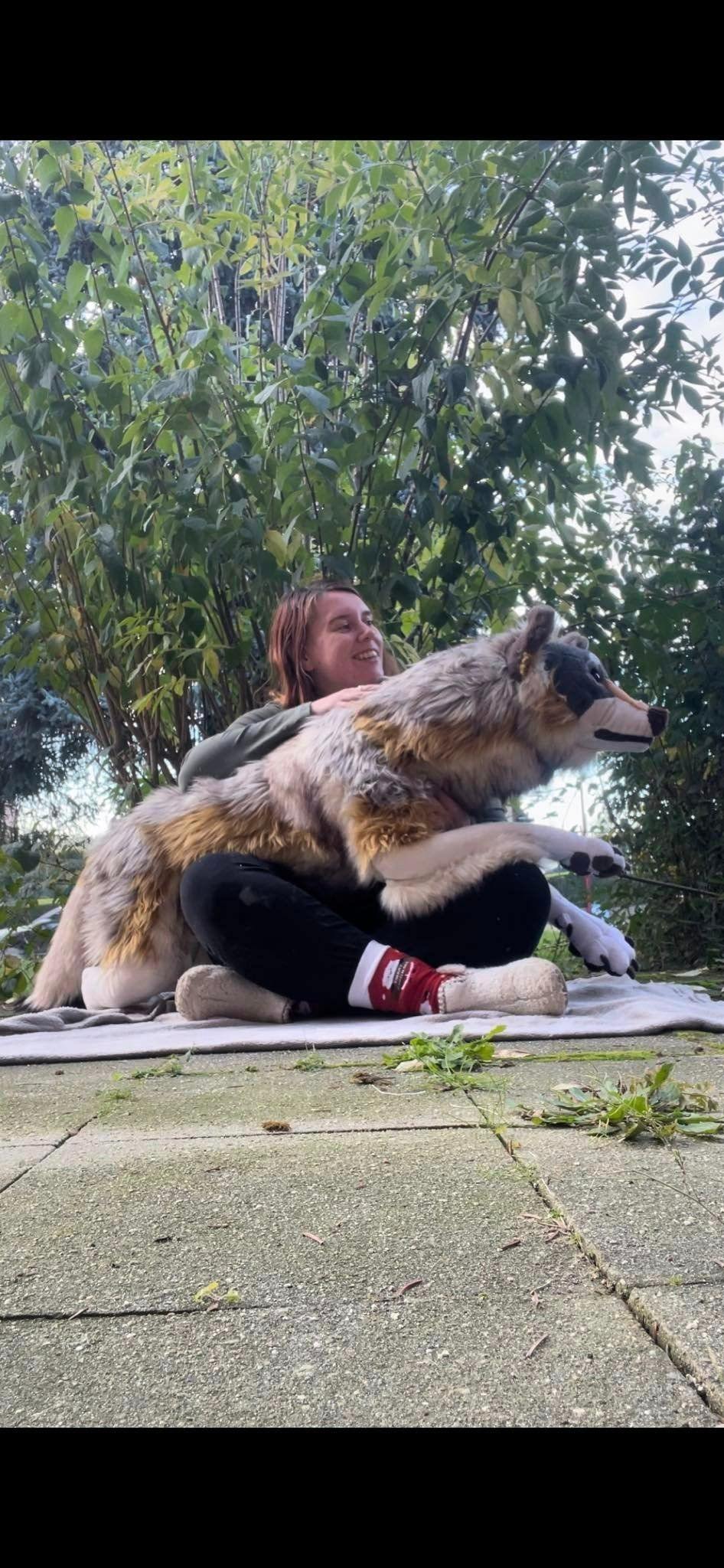 Balto - the realistic wolf plush | HippieFox