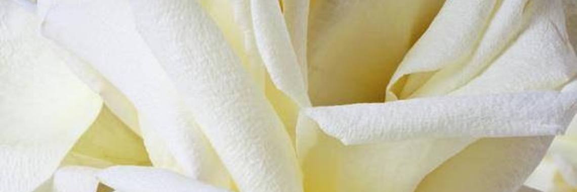 Dagelijks worden mensen dood gepest | Roodkapje