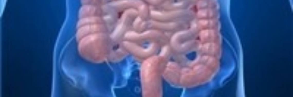 De ziekte van Crohn | Roodkapje