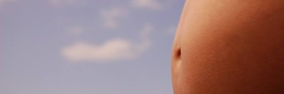 Een koe is drachtig en een vrouw is zwanger | Roodkapje