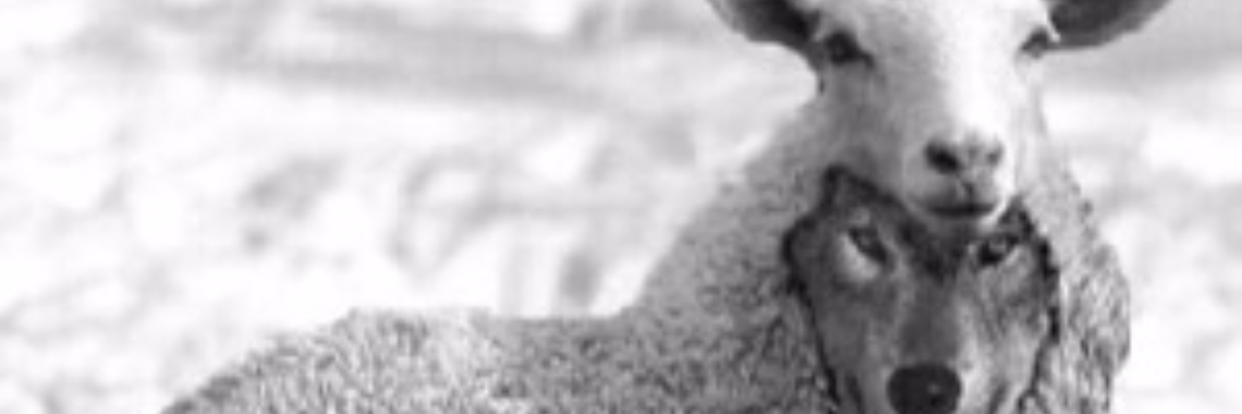 Een narcist heeft altijd gelijk | Roodkapje