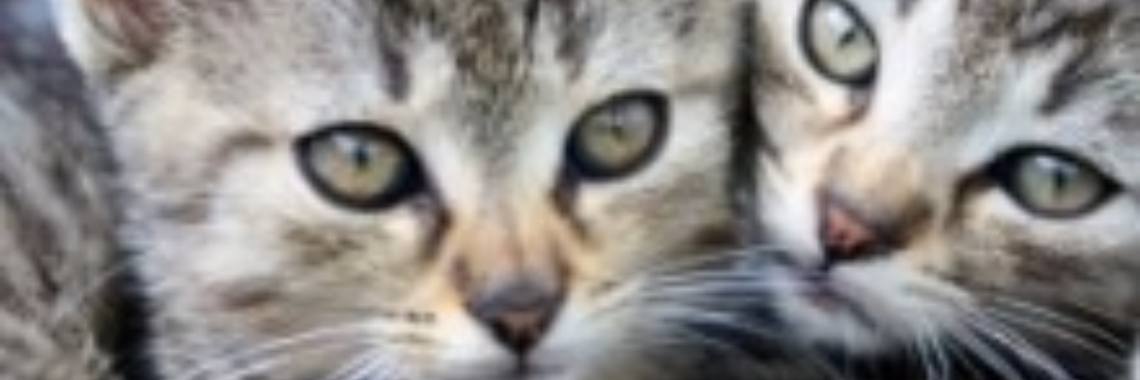 Ik maak me zorgen over mijn kleinzoon | Roodkapje