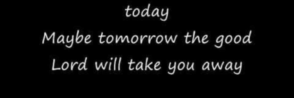 Leef je leven (Dream on - Aerosmith) | Roodkapje