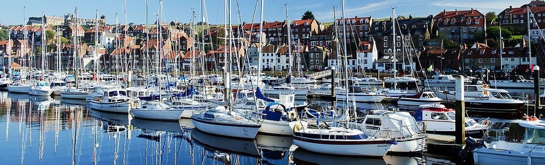 Pesten is zo gemeen! | Roodkapje