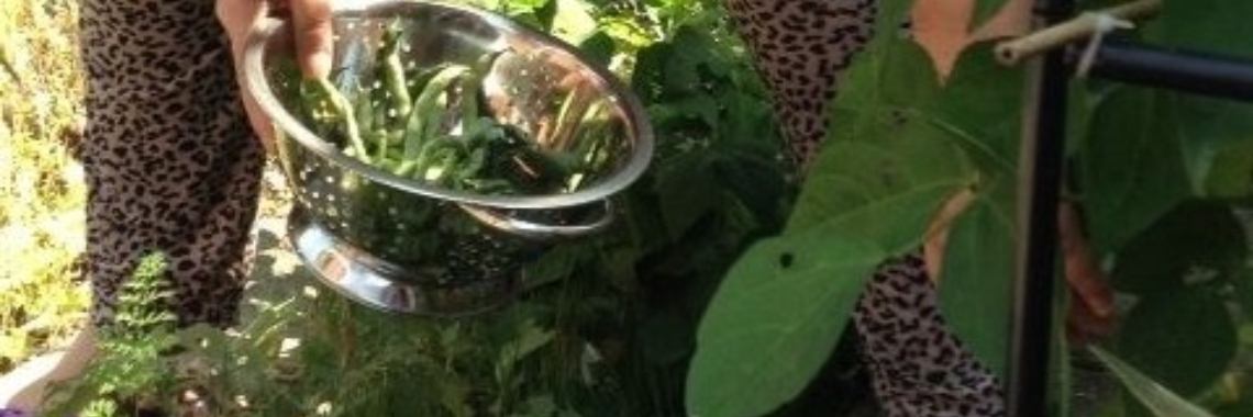 recept groene stamppot met weinig calorieën | Roodkapje