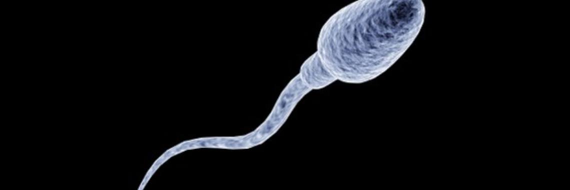 Sports is good for sperm | Roodkapje